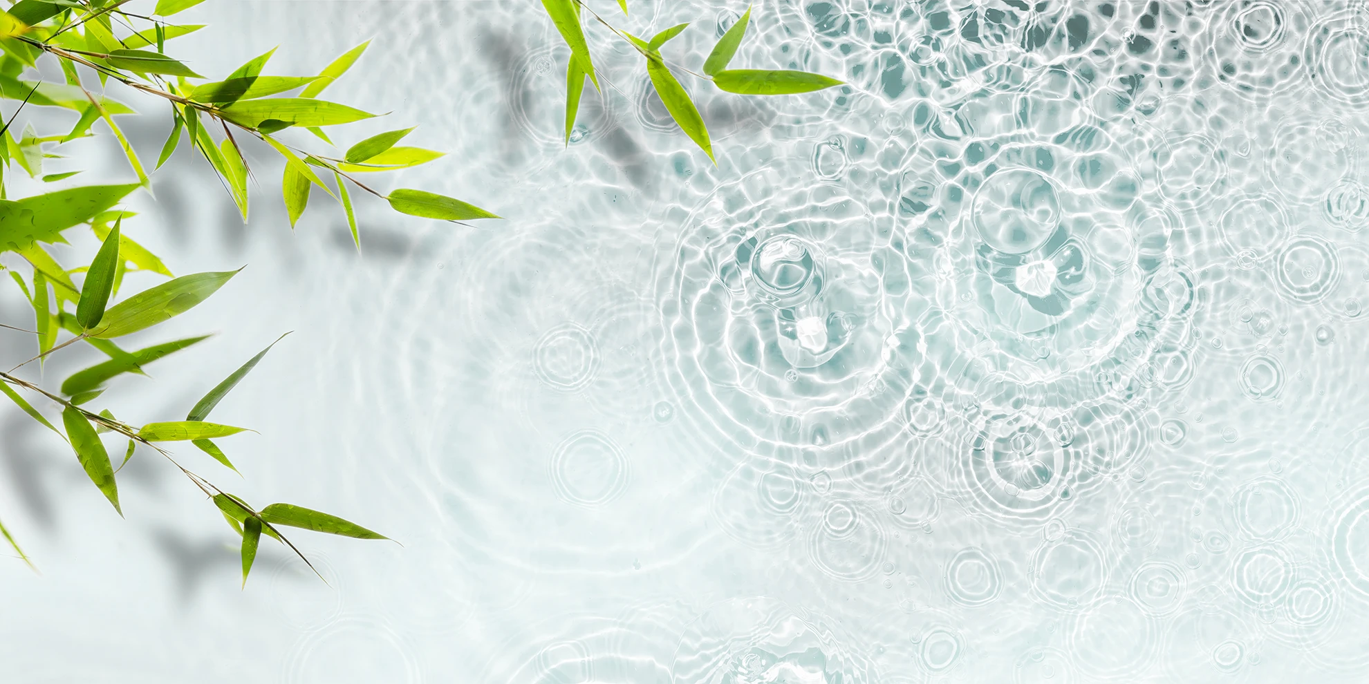 Microneedling with Exosomes (2026): Advances in Regenerative Aesthetics. The Future of Skin Rejuvenation, Hair Restoration, and Longevity Medicine